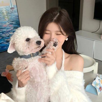 猫和老鼠：间谍使命